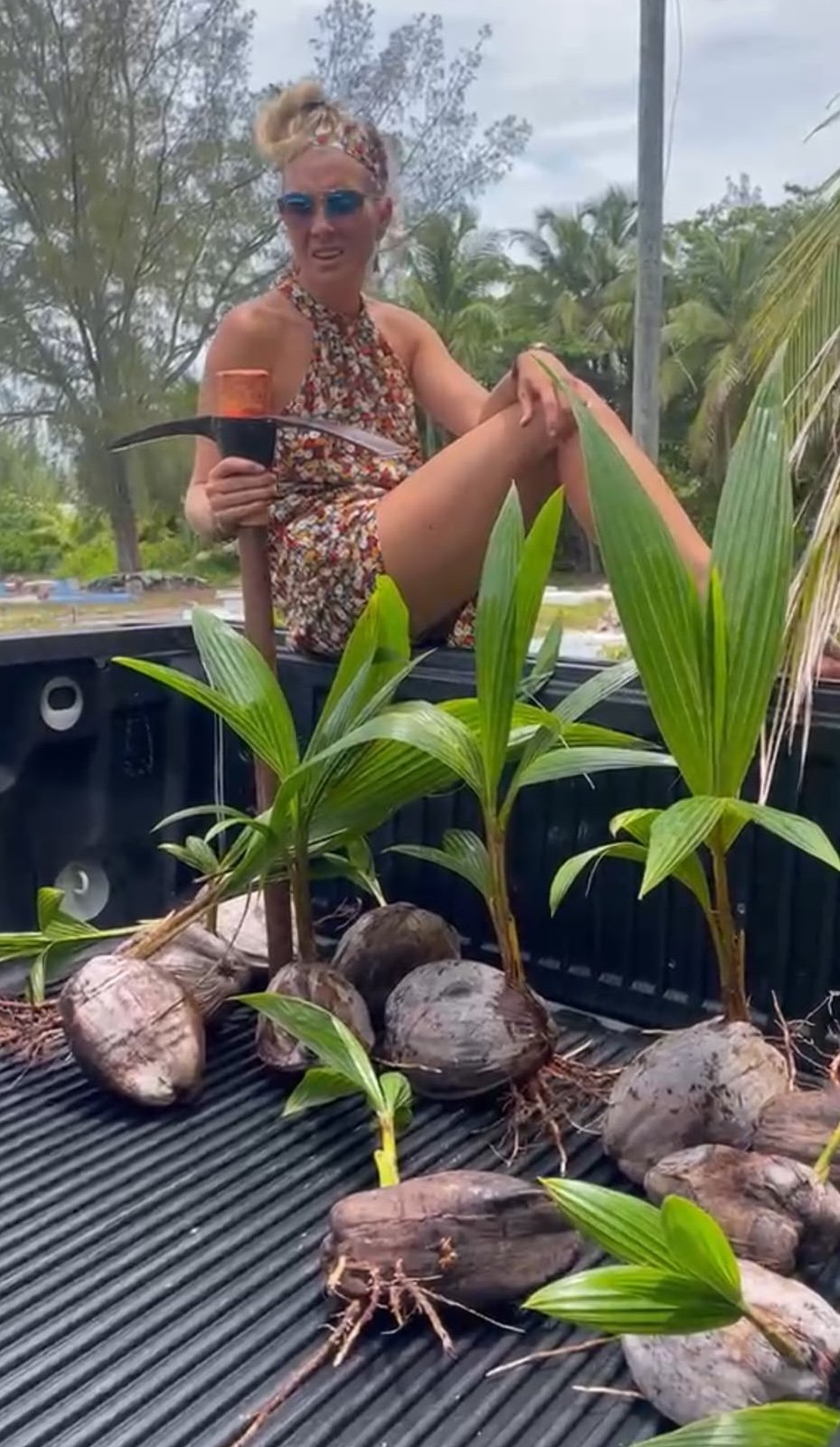 Rhonda L.C. Hull teaching the next generation to harvest young coconut palms